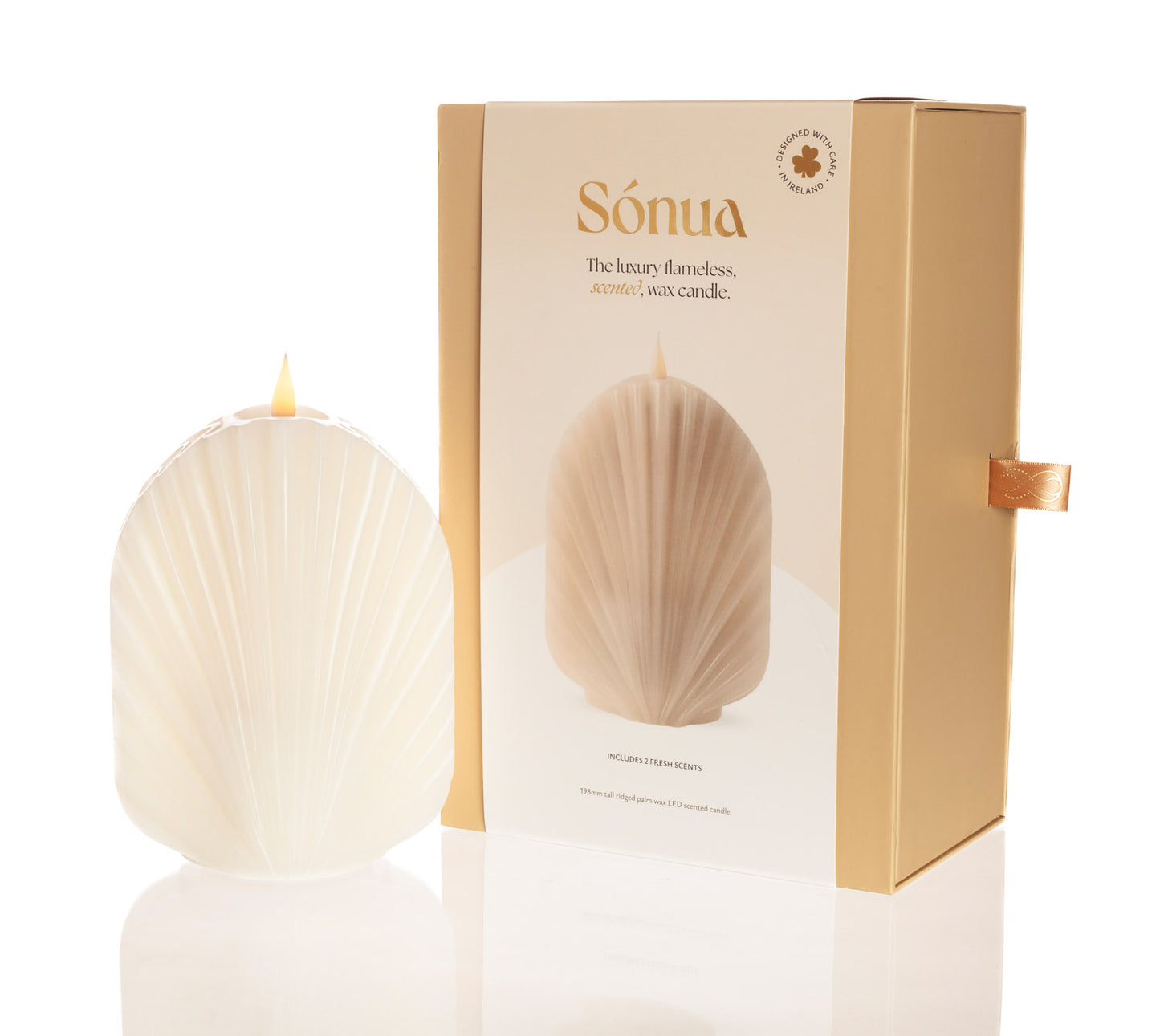 Palm Candle 198mm Gift set