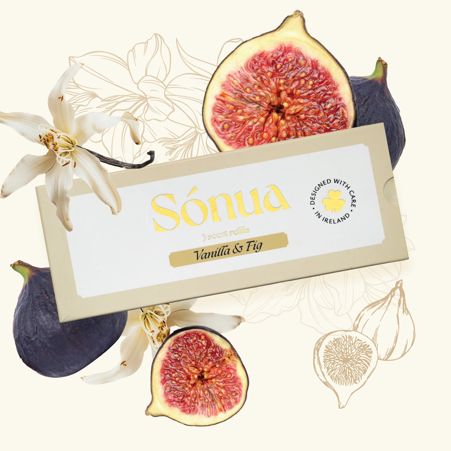 Vanilla & Fig Refills - Light