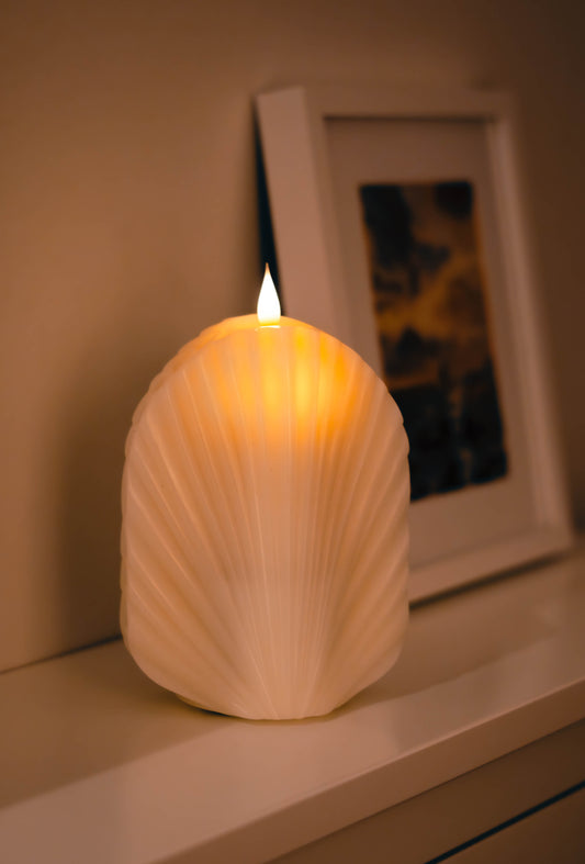 Palm Candle 198mm Gift set